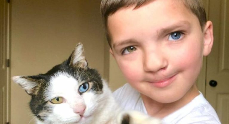 A youngster with multicolored eyes adopts a cat with same traits.