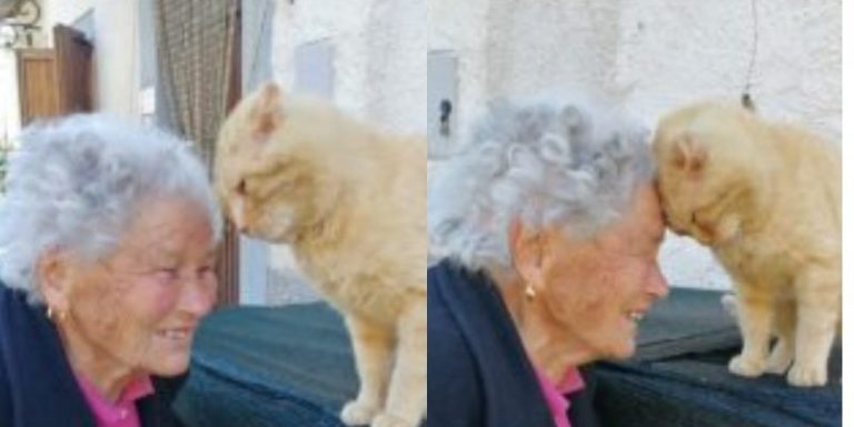 The elderly woman reunited with her beloved cat whome she had lost 4 years ago because of an earthquake