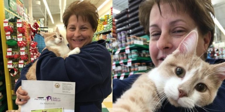 After all the difficulties the cat met the most caring mommy ever and can’t stop hugging her