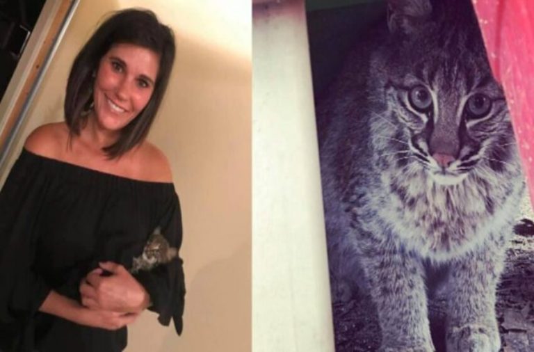 The woman who rescued a cat learns that it is not the animal she thought it was.