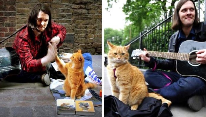 A teenage musician was living on the streets when he was given his life back by a nice kitty