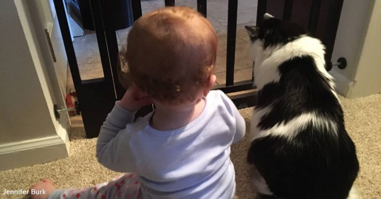 Pet cat ‘adopts’ new baby, tries to teach her how to crawl