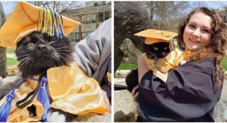 Lovely cat graduates with her mommy and receives a diploma in emotional support while donning a sweet bespoke gown.