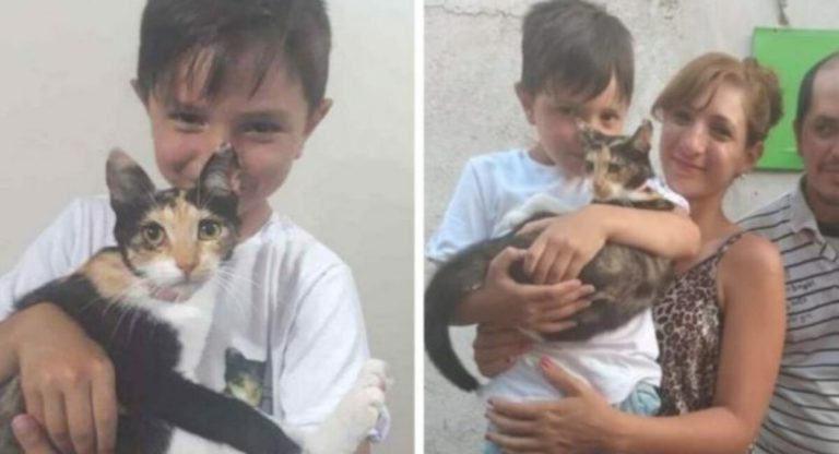 A 6-year-old saved a cat from the streets with all of his money, and then celebrated in the animal’s honor.