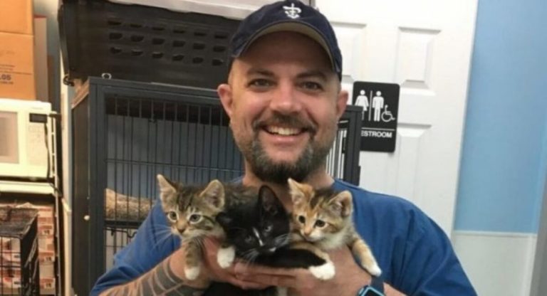 For this man, snuggling and taking care of kitties is the best job in the entire world.