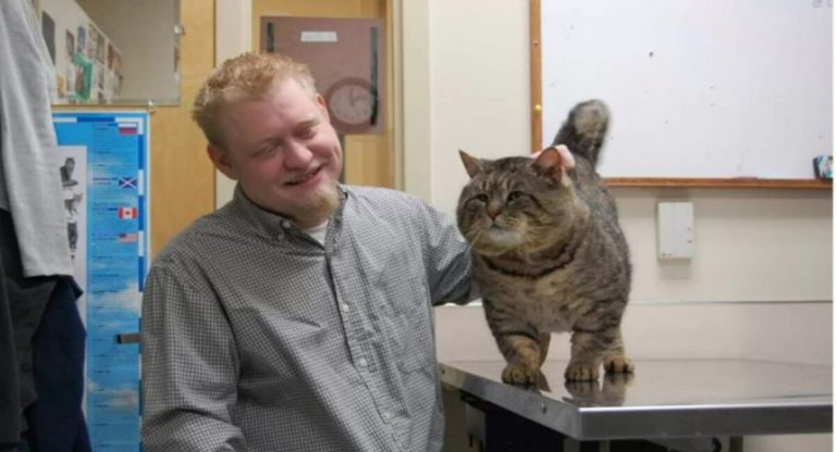 The missing cat is found by a man who has spent a lot of time seeking for it.