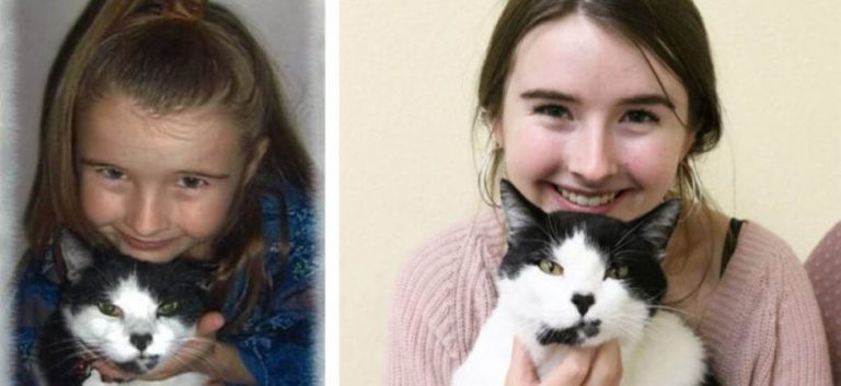 Teen finds her long-lost childhood cat whilst volunteering at an animal shelter