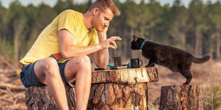 Man decided to give up his job and sell everything he ownes just to travel with his lovely cat