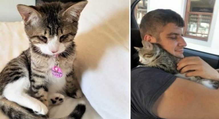 The blind kitten came into her human’s arms and offered him an incredible cuddle when they first met.