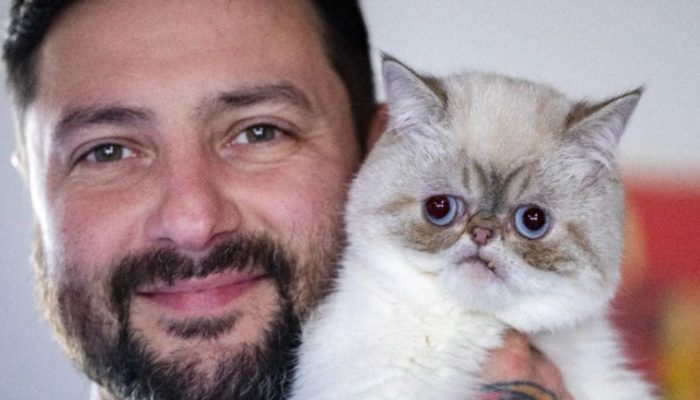 The late viral cat’s owner has a new, peculiar pet.