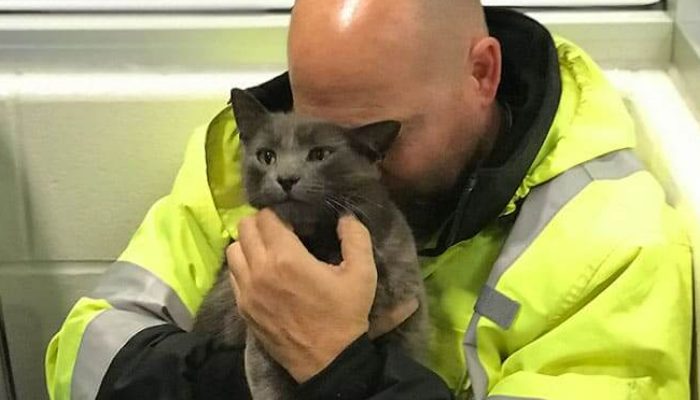 Andrew, a truck driver, lost his friend, a gray cat, two months ago and broke down in tears when he finally found him after months of looking