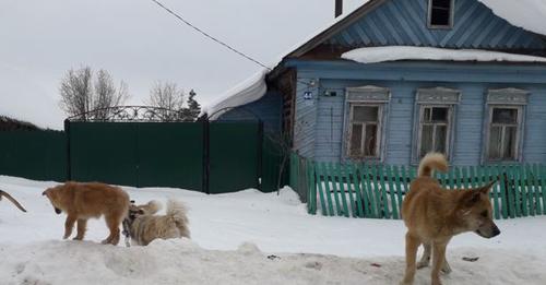 Коли дочка розлу чилася з Петром, бідолашному хлопцеві більше не було куди йти, і я дозволила зятю залишитися в моєму будинку. І ось чим це обернулося.