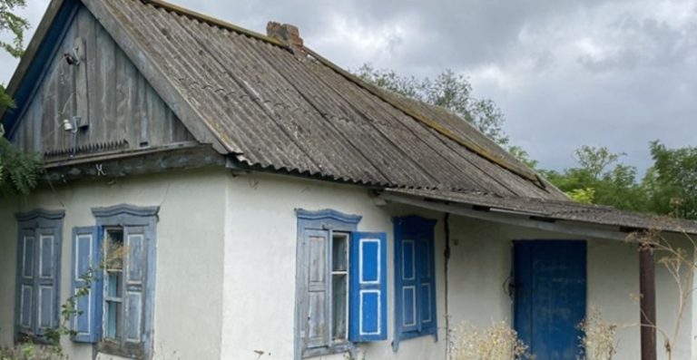 Коли черговий раз племінники приїхали в гості, Олена була дуже незадоволена. Але мати сказала може вони принесли подарунок, адже у них був пакет. Вміст пакета приголомшило їх.