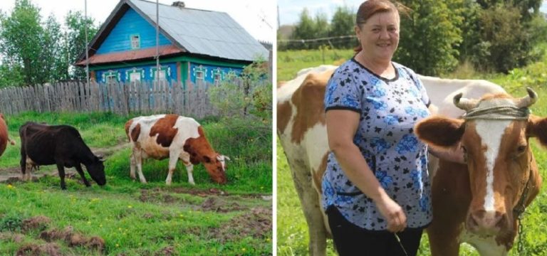 Дізнавшись ціну на плаття, Микола довго вагався. Зрештою, він купив його — і цей подарунок змінив його життя назавжди!