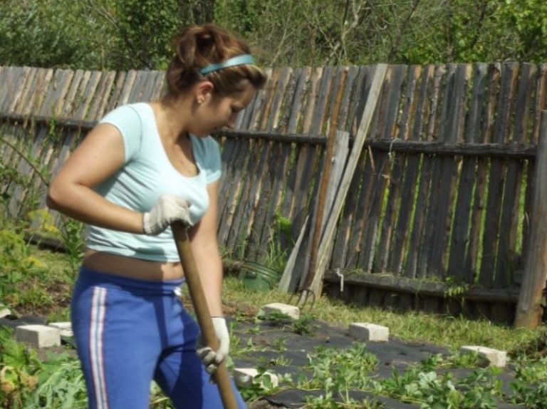 Сестра мого коханого чоловіка, тільки-но переступивши поріг, заявила: » ти що, зовсім знах абніла? Швидко зібралася і поїхала мамі допомагати.