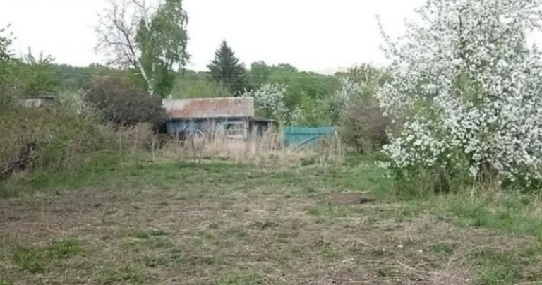 Коли мій чоловік повернувся з далекої дороги, дочка вигнала батька з двору, навіть не пустивши його на поріг. І все це через одну причину.