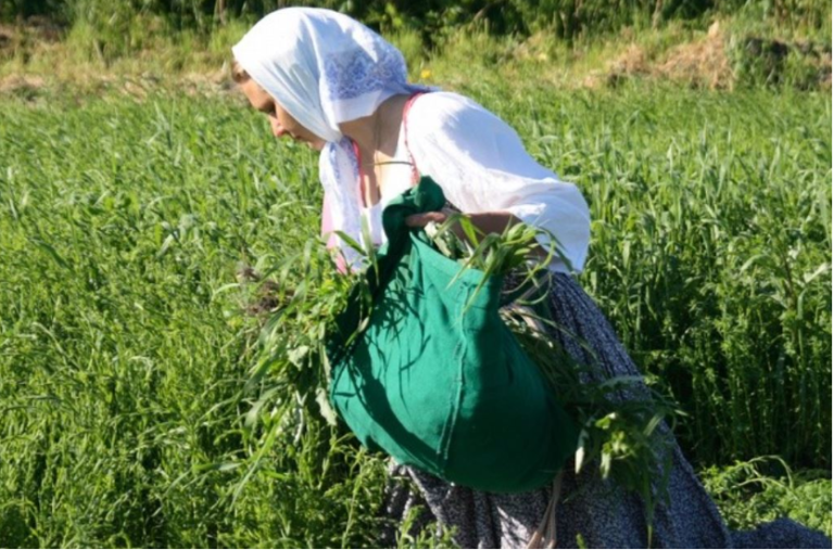 Ця пронизлива історія безглуздої сварки і важкої розлуки моїх батьків не дає мені спокою вже більше 20 років.