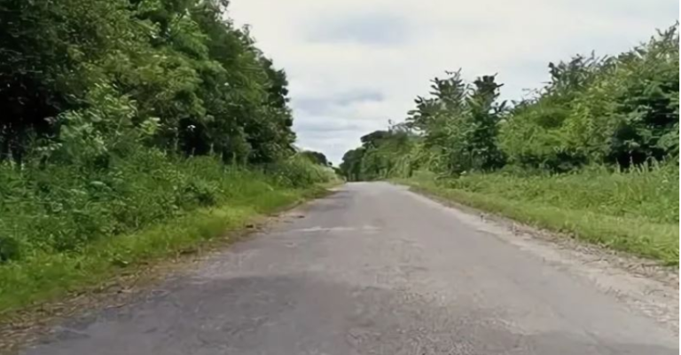 Батько різко зупинив машину і вигнав сина на дорогу Сльози матері не зупинили чоловіка Те, що сталося потім, я розповім своїм дітям.