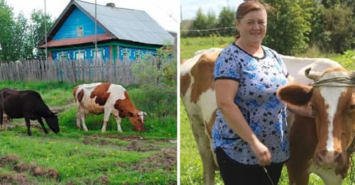 Дізнавшись ціну на плаття, Микола довго вагався. Зрештою, він купив його — і цей подарунок змінив його життя назавжди!