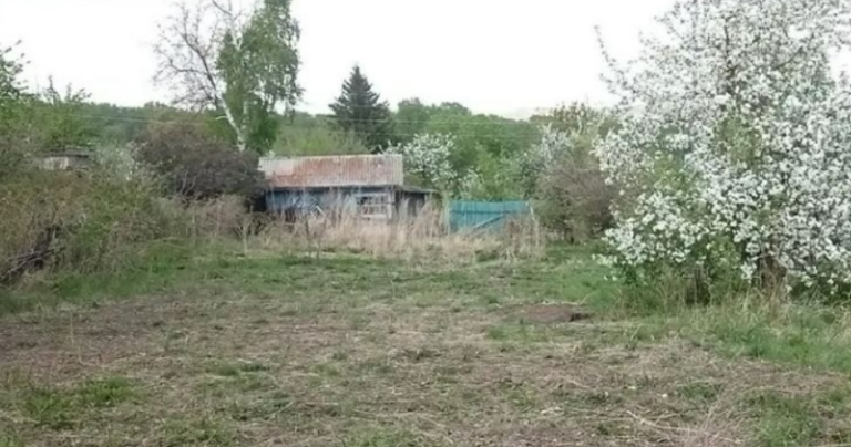 Коли мій чоловік повернувся з далекої дороги, дочка вигнала батька з двору, навіть не пустивши його на поріг. І все це через одну причину.