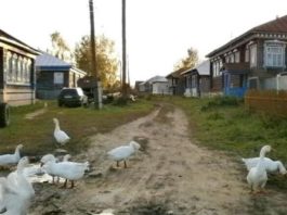 Усі в селі пліткували, що Галя обрала як чоловіка Мирона – людину з сумнівним минулим. Але невдовзі вони зрозуміли важливу річ.