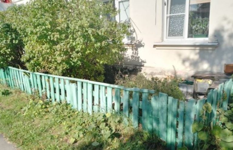 Олена дізналася, що при розлученні дача, куплена нею, буде розділена між нею та Дімою, і вирішила схитрувати. Продала вона дачу за копійки та…