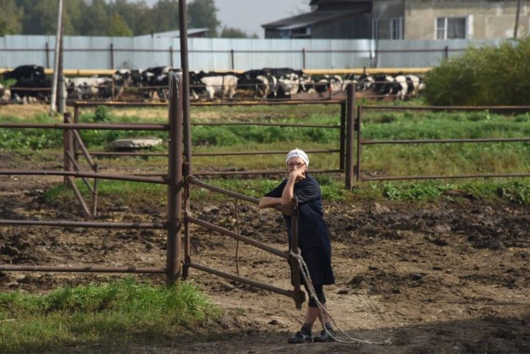 Діти хотіли змyсити матір працювати на них на городі за rроші. Але мати розчарyвала їх