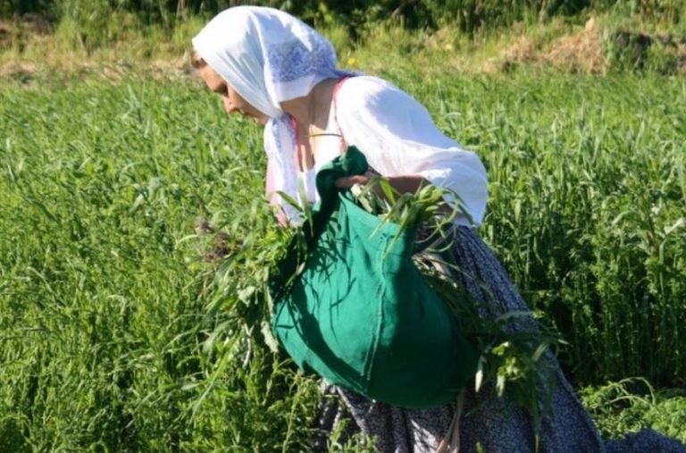 Ця пронизлива історія безглуздої сварки і важкої розлуки моїх батьків не дає мені спокою вже більше 20 років.