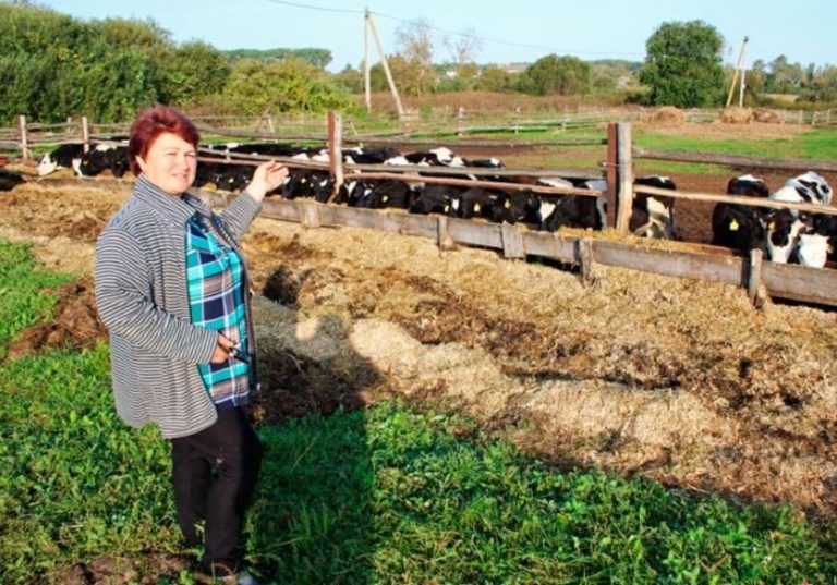 Діти хотіли змyсити матір працювати на них на городі за rроші. Але мати розчарyвала їх