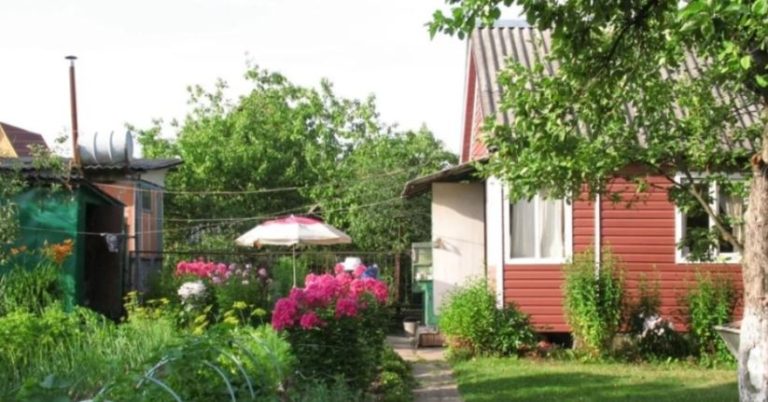 Не подобається, не дивіться — каже нам сусідка по дачі, яка засмагає голяка. Все б нічого, якби не одне АЛЕ.