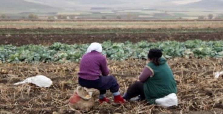 Після смерті матері Степан все частіше згадував її слова, і лише через роки зрозумів їх значення …