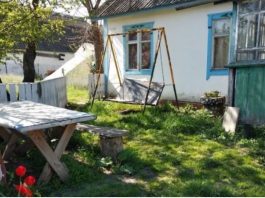 Олеся поїхала в село, відвідати батьків. У вихідні, Олег мав приїхати до тещі і забрати дружину. В суботу вранці Олеся набрала картоплі, зібрала сумки, і стала чекати чоловіка.