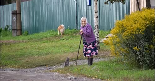 Міші тоді було десять, коли дізнався, що у нього в селі є бабуся. Мати розповіла, що коли вони з чоловіком одружилися, її мати перестала з ними спілкуватися. Але ось зараз хоче побачити онука.