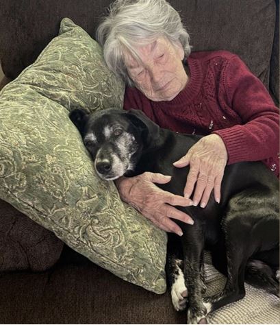 Пока моя семья ссорилась из-за завещания бабушки, только я забрала ее любимую собаку и обнаружила секрет, который она оставила — История дня